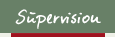 navivisionon